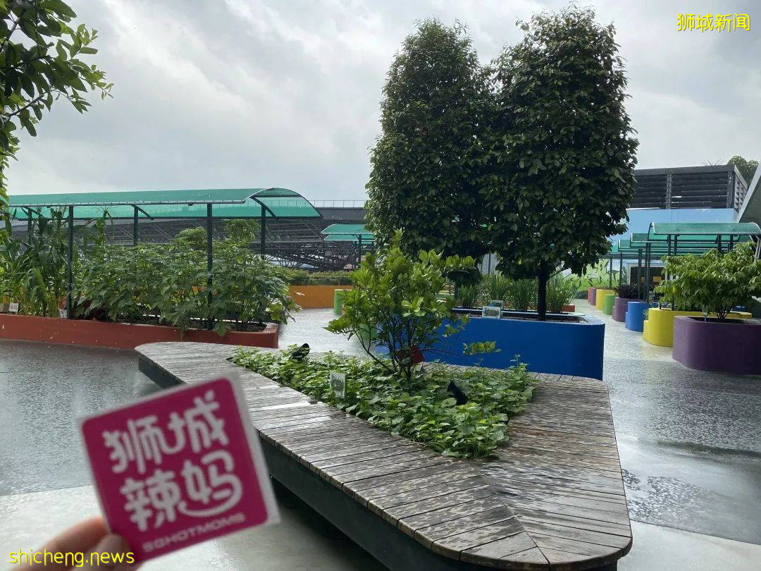 李顯龍總理打Call的超級大商城！開業就5000人擠爆，內附吃喝玩樂攻略