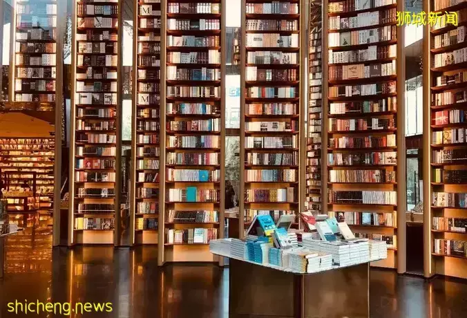 中新国际学校大对比,新加坡留学为什么那么热门