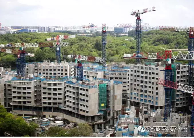 平均近六人抢一单位 预购组屋BTO需求三年增加超过一倍