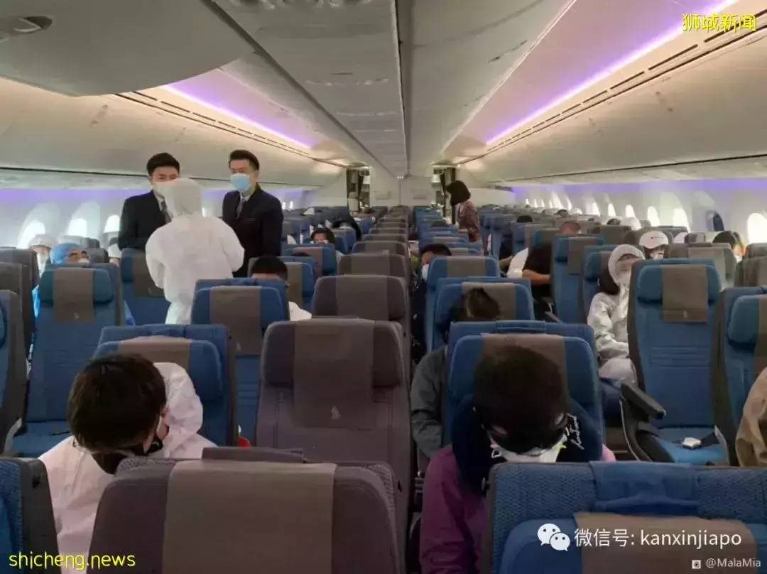 中国籍新加坡空姐谈疫情前后变化，“无比怀念忙碌却快乐自由的生活”