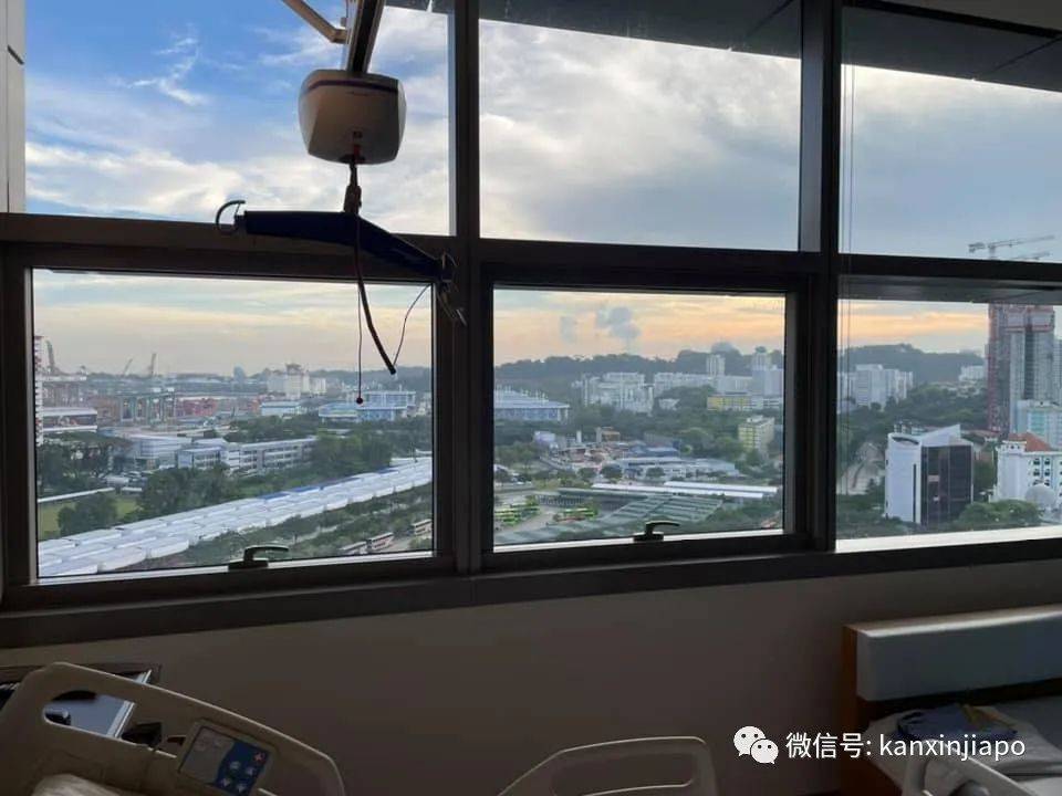 注意!剧毒魔鬼鱼频繁出没圣淘沙,一天蜇伤两人送院治疗