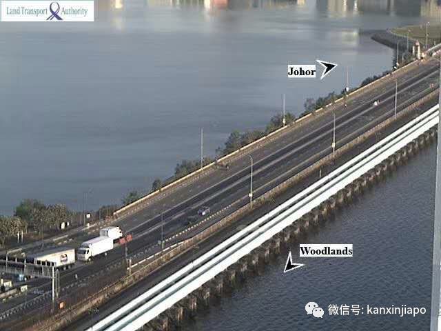 新增X例,累计X | 新加坡哪来的这么多输入病例?