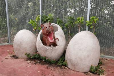 開幕不到一周, 樟宜機場連道一只小恐龍被當馬騎,5顆牙齒被拔光