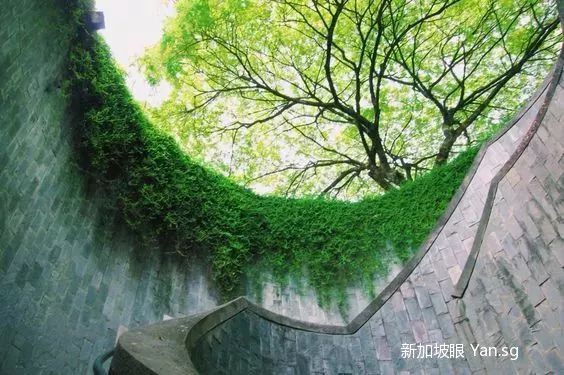 刷爆ins的新加坡网红拍照地