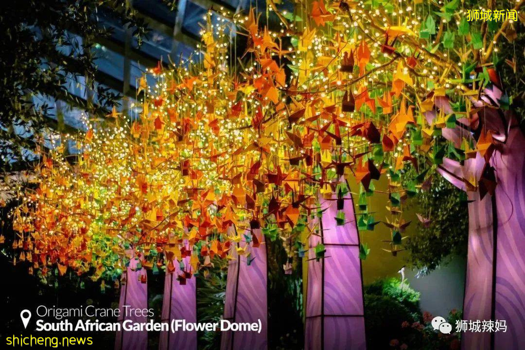 限時免費！新加坡濱海灣花穹兒童免費進，還有米菲燈展、祈福天燈、千鶴祈願