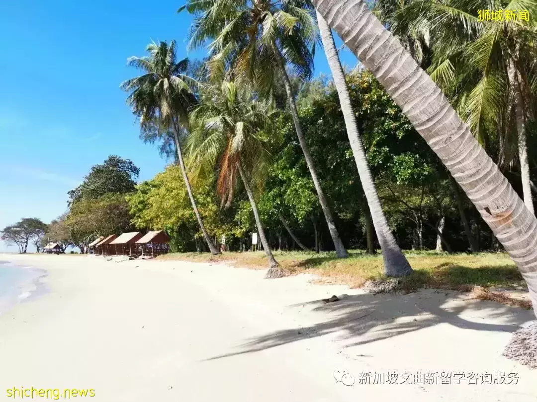 新加坡留学假日好去处,比马尔代夫更美的周边小岛盘点