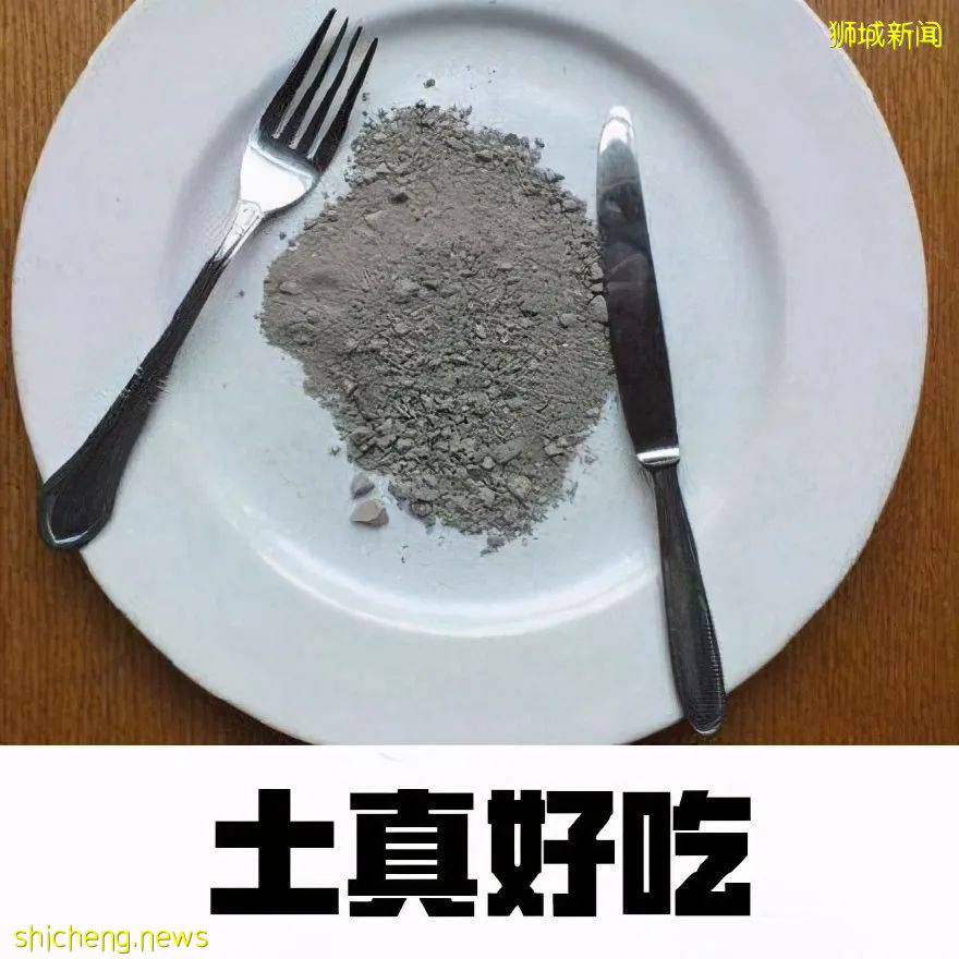 新加坡連續漲價10個月!網友:吃不起菜,買不起房