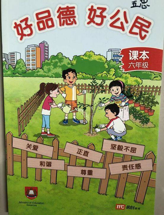 国内政治课VS新加坡品格与公民教育课CCE