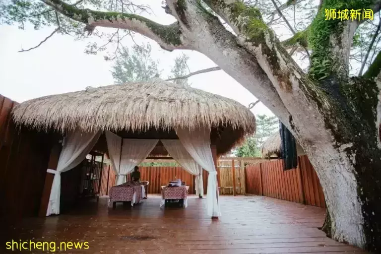 从新加坡坐船一个半小时,这个地方火了!阳光海滩度假村只要46新