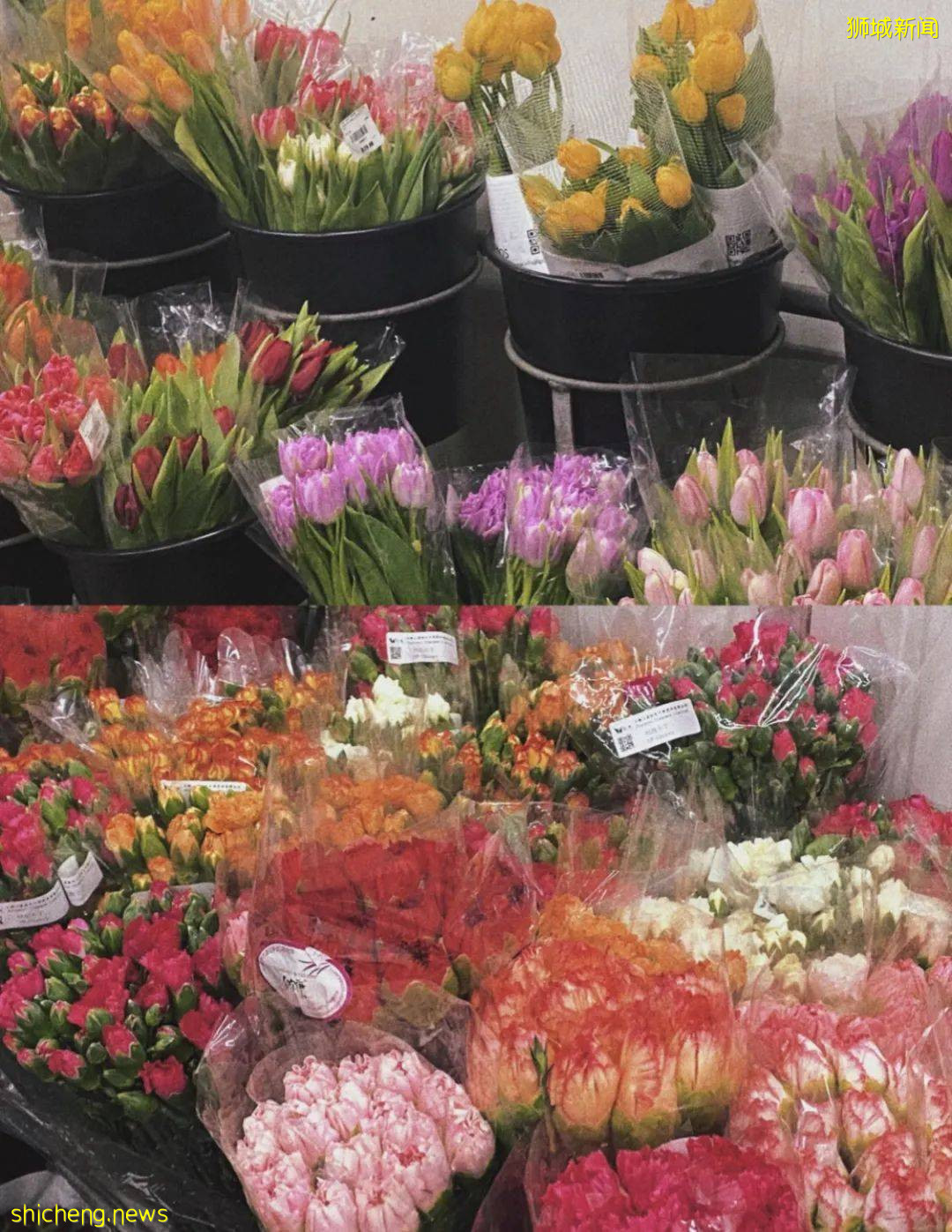 狮城5月公共假期去哪玩,攻略都在这里了