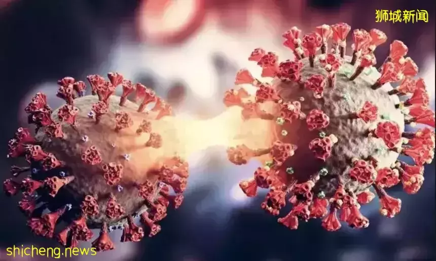 她感染后，检测阳性长达20天！新加坡或更多人第2次感染！专家：重症患者手脚发黑