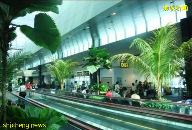 帶你看看真實的新加坡，絕對和你想像中不一樣