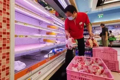 一次買八只!新加坡掀起搶雞行動,豬肉魚肉也漲價了