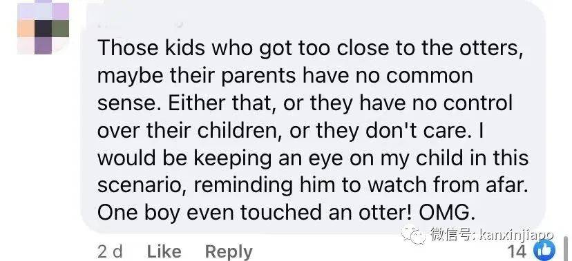 14只水獭在新加坡植物园被小孩们“追杀”,父母竟也加入战局