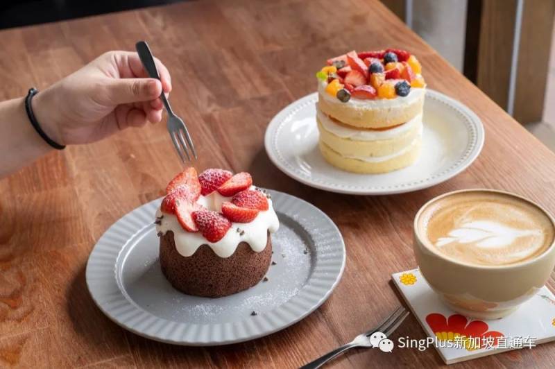 新加坡蛋糕外卖2.0，拯救你的甜食胃