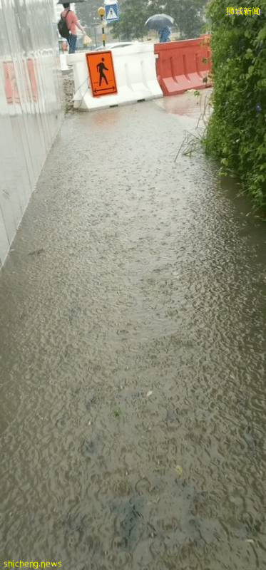 今天,新加坡被大暴雨淹沒了!