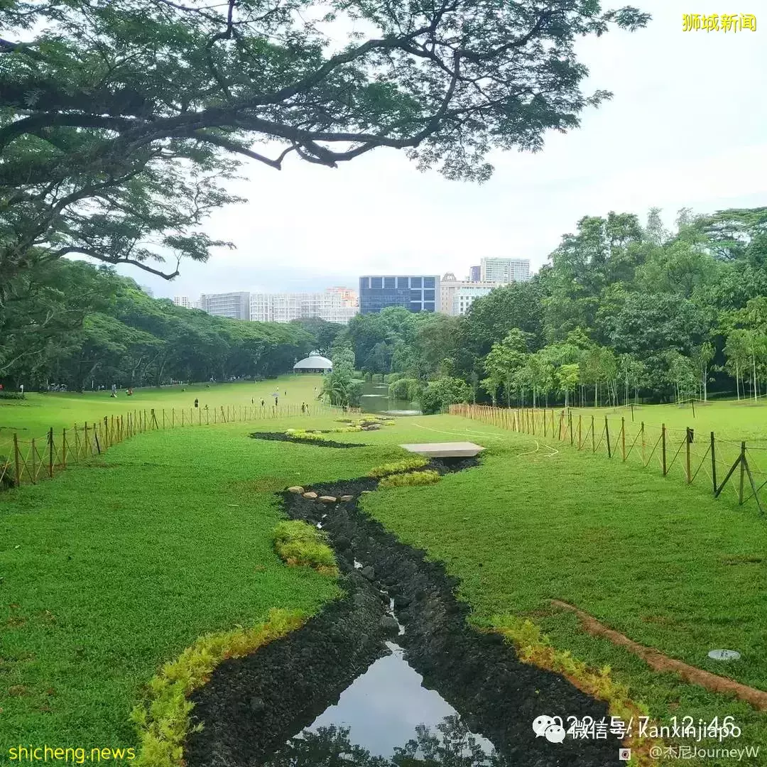 “游览总统府巧遇新加坡总统！她竟然还和我合照”