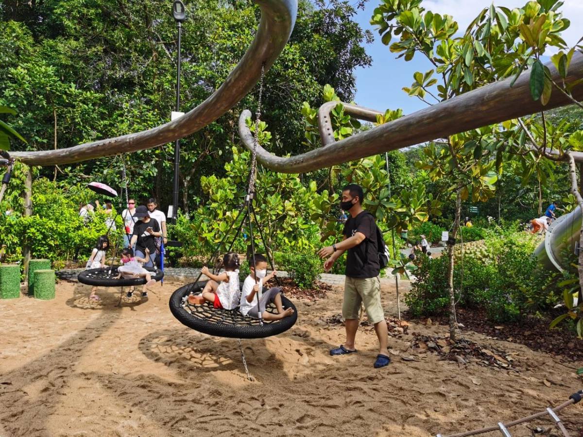 新加坡植物園爆火新景點,不知道怎麽去?手把手教你遊玩攻略