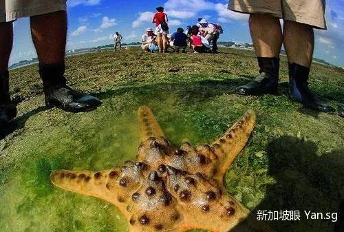 全览！教你如何玩新加坡的六大离岛