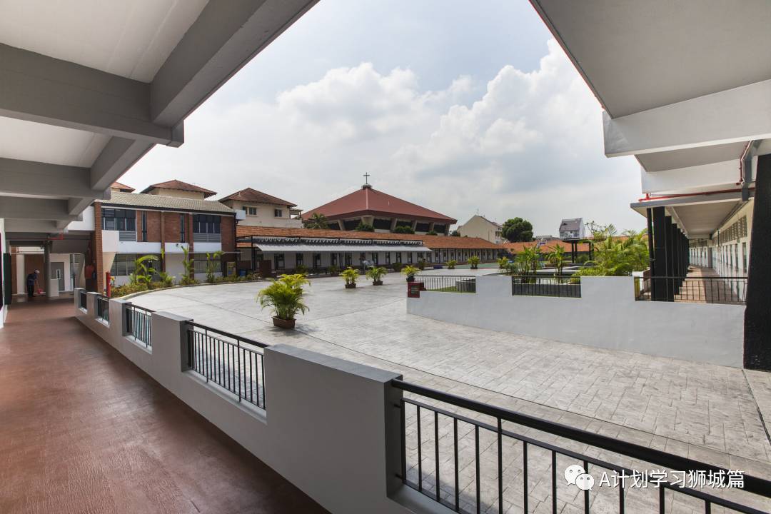 新加坡國際學校IB成績彙總（2021.5）