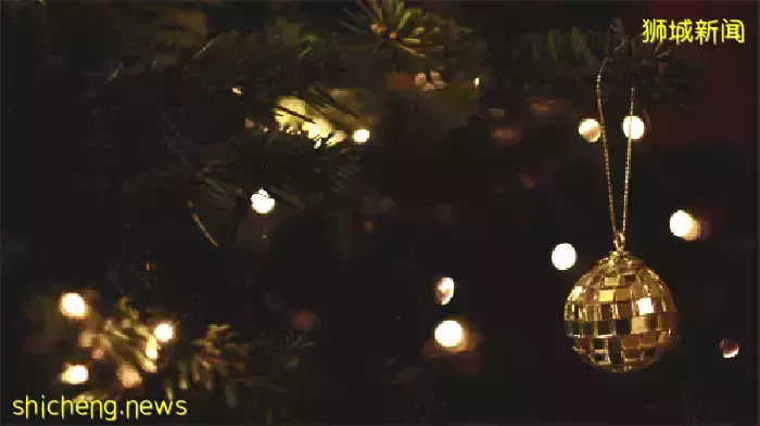 玩在獅城 聖誕節快到啦！去這幾個燈展打卡拍照絕對刷爆你的Instagram