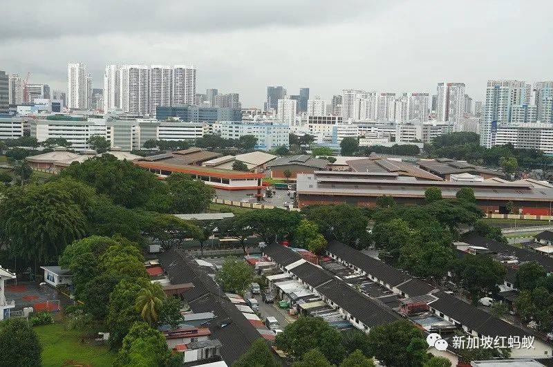 新加坡紅燈區附近的巷子走入曆史　連神像都必須漂洋過海去馬來西亞安家