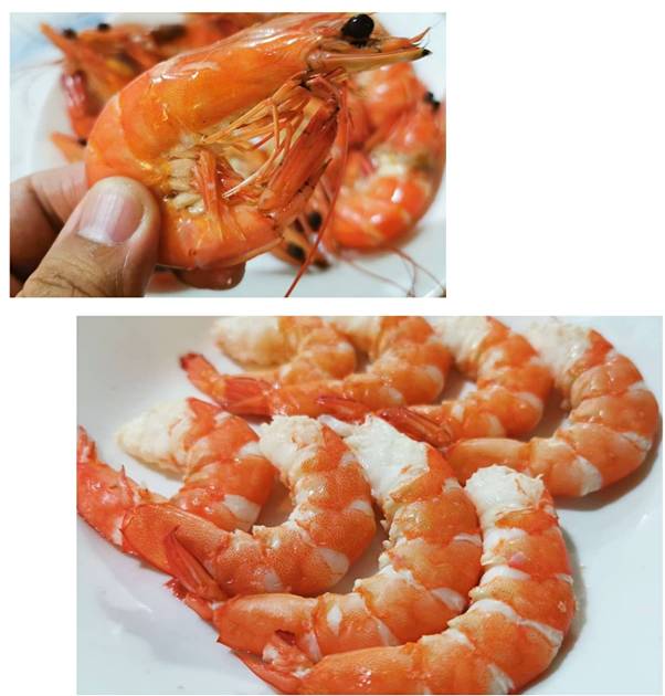 探访新加坡最大活海鲜市场 本月疯狂优惠