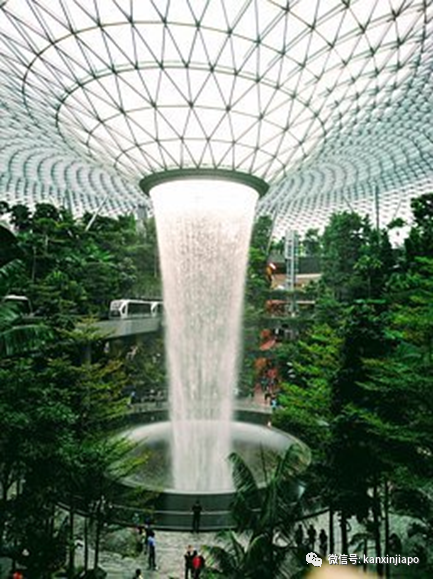 官宣！可以在新加坡樟宜机场里扎营了