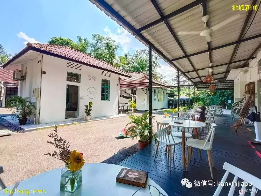 新加坡的这里如此浪漫又闲暇,在这工作就如度假