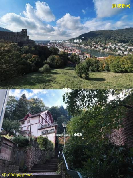 “最近!我從新加坡飛德國、法國免隔離度假,猜猜花了多少錢~”