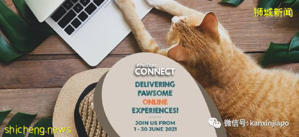 【下周活动】鳗鱼饭买1送1,女装全场$2.99