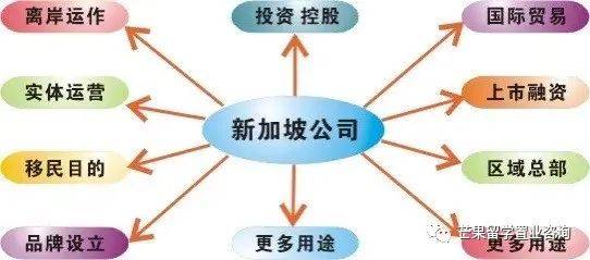 新加坡成立有限公司后续维护至关重要