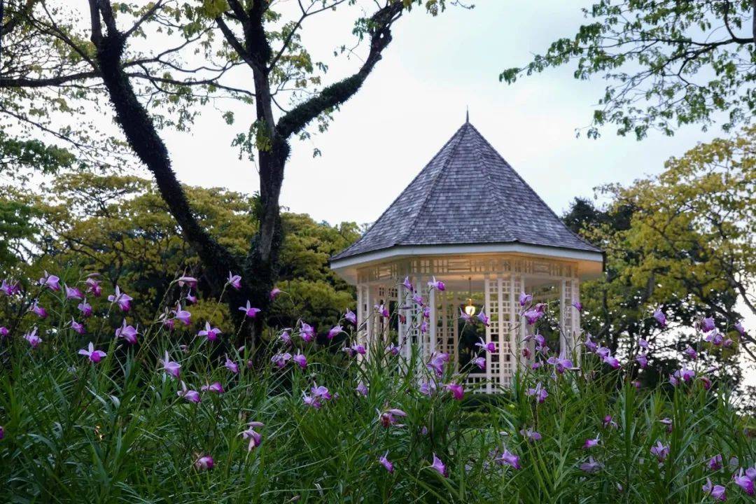 各国领导人休假时长盘点!你的年假用完了吗