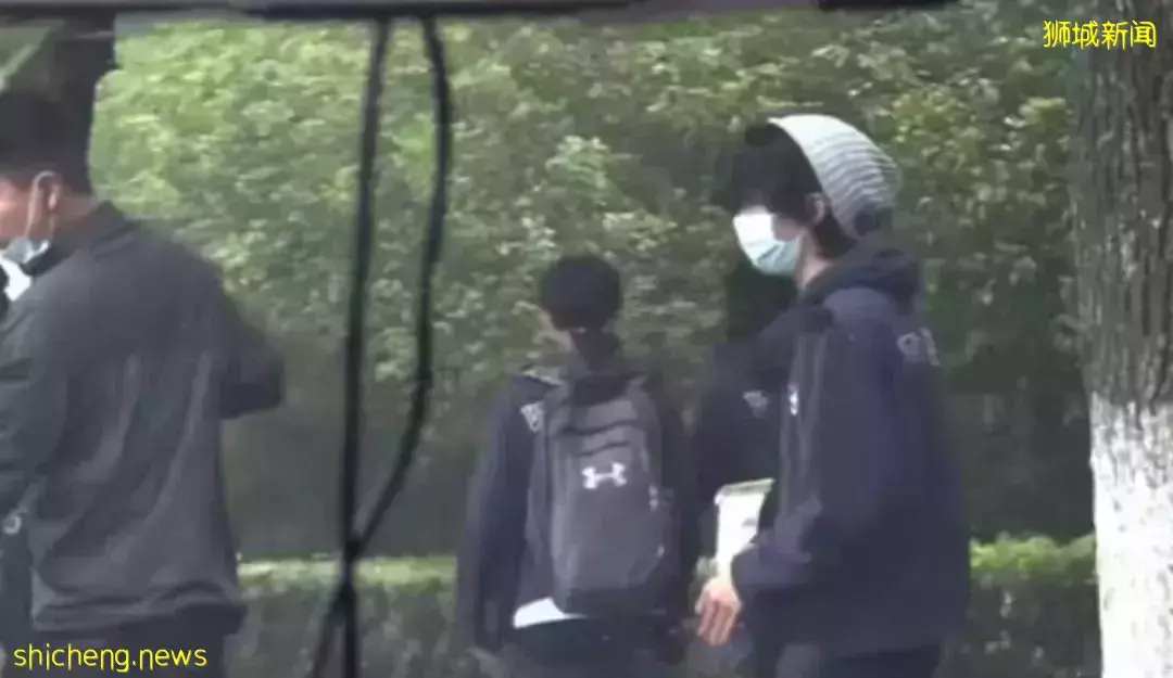 全網熱議！吳尊送娃去中國上學，張柏芝離開坡回上海定居！新加坡不香了