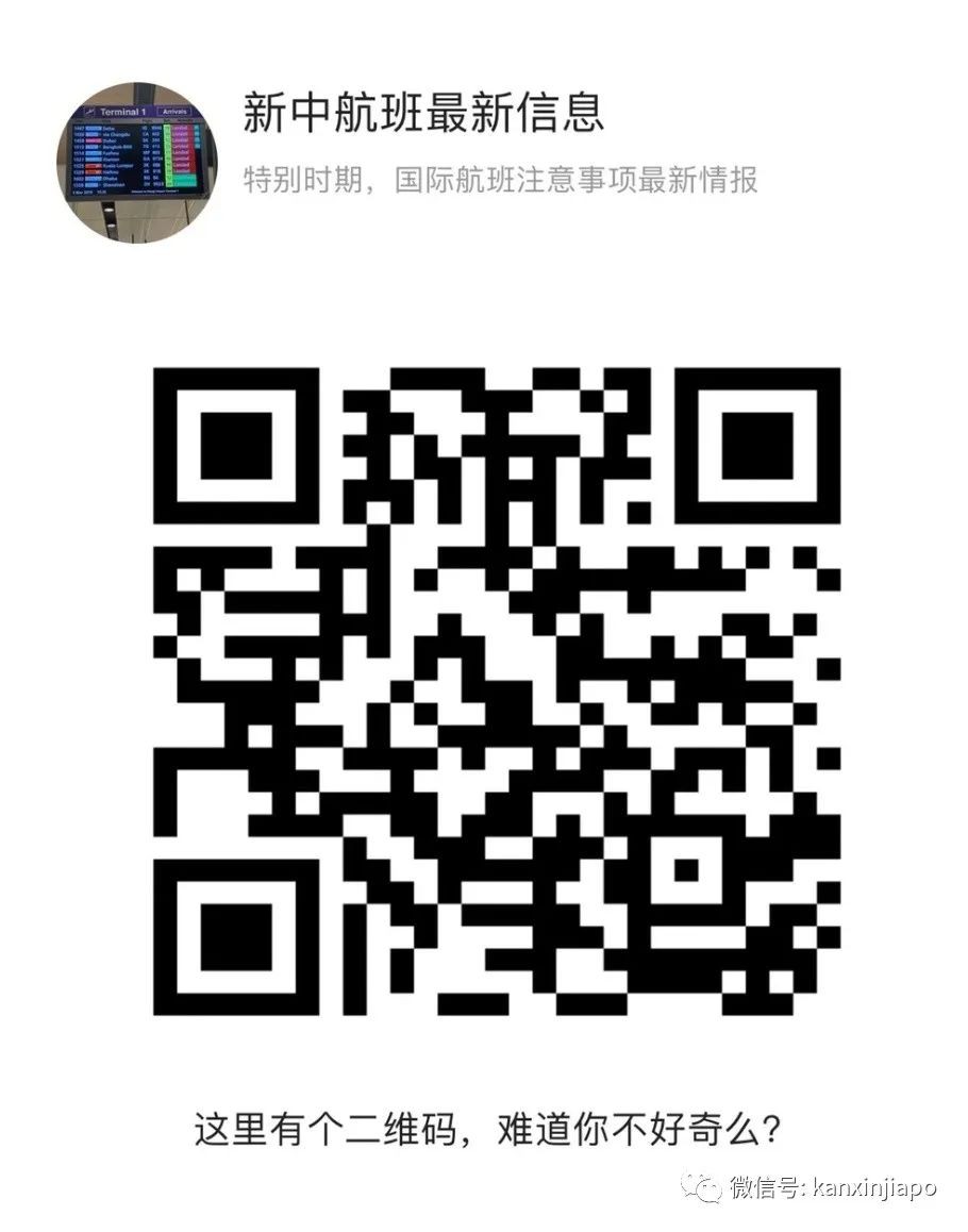 个人申请从新加坡飞回中国 (详细步骤与翻译)