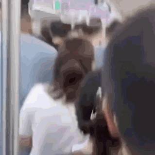 新加坡如果遇上“鄭州暴雨”,你認爲能挺的過去嗎