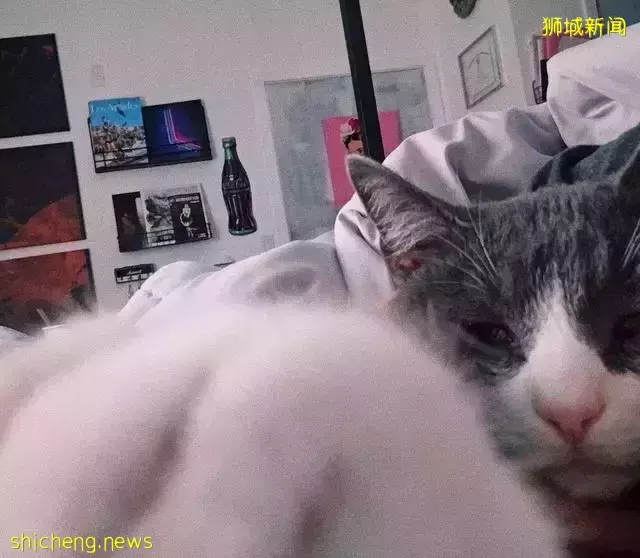 新加坡24岁美女遭热议!和闺蜜“结婚”变伴侣,男友竟愿意