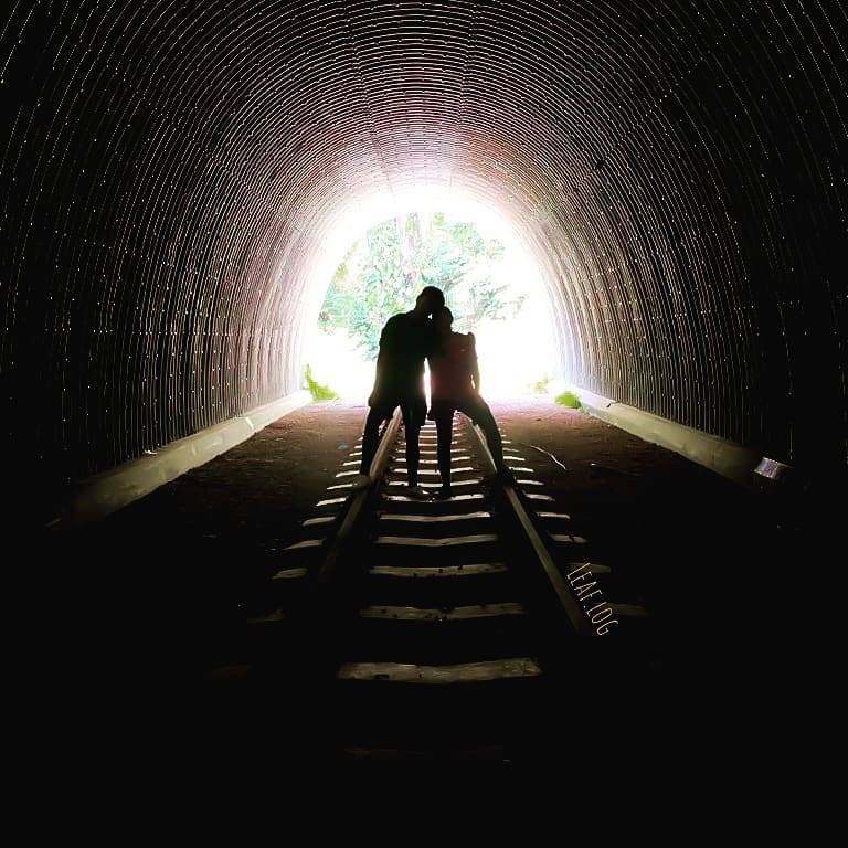 🚥通往裕廊的廢棄鐵路🚞 新加坡隱秘的角落，徒步探險、攝影愛好者秘密基地 🧭
