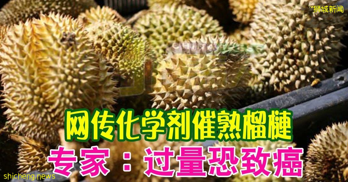 网传化学剂催熟榴梿 专家：过量恐致癌