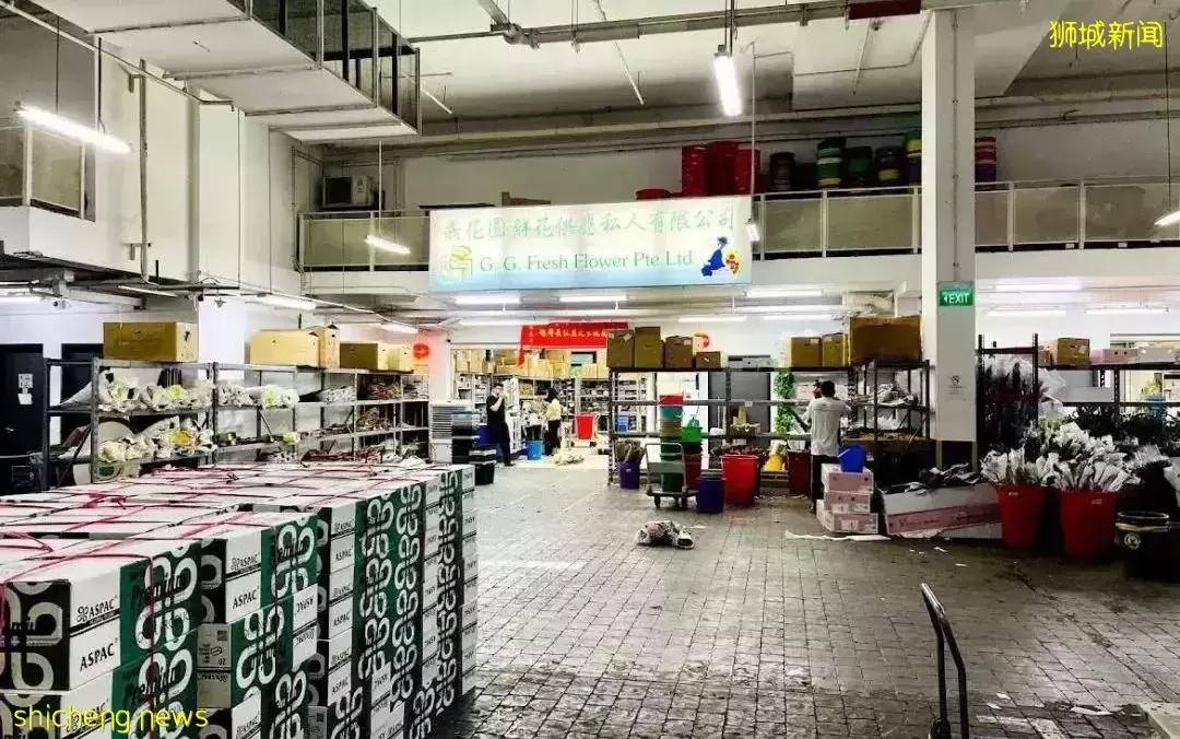 鮮花在熱帶也能養1個月？資深花友新加坡買花、養護大揭秘