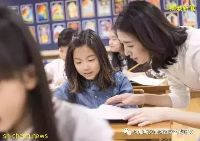 家長必看！新加坡留學陪讀方案大盤點！（上篇）