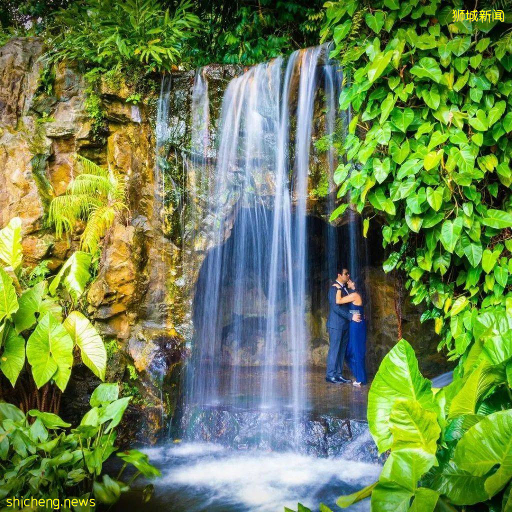 小小新加坡居然有5個瀑布,隱藏著世界最大的室內瀑布