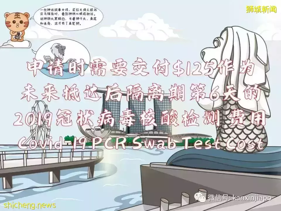 最新攻略！搶不到VTL車票，但還是想回馬國過年怎麽辦