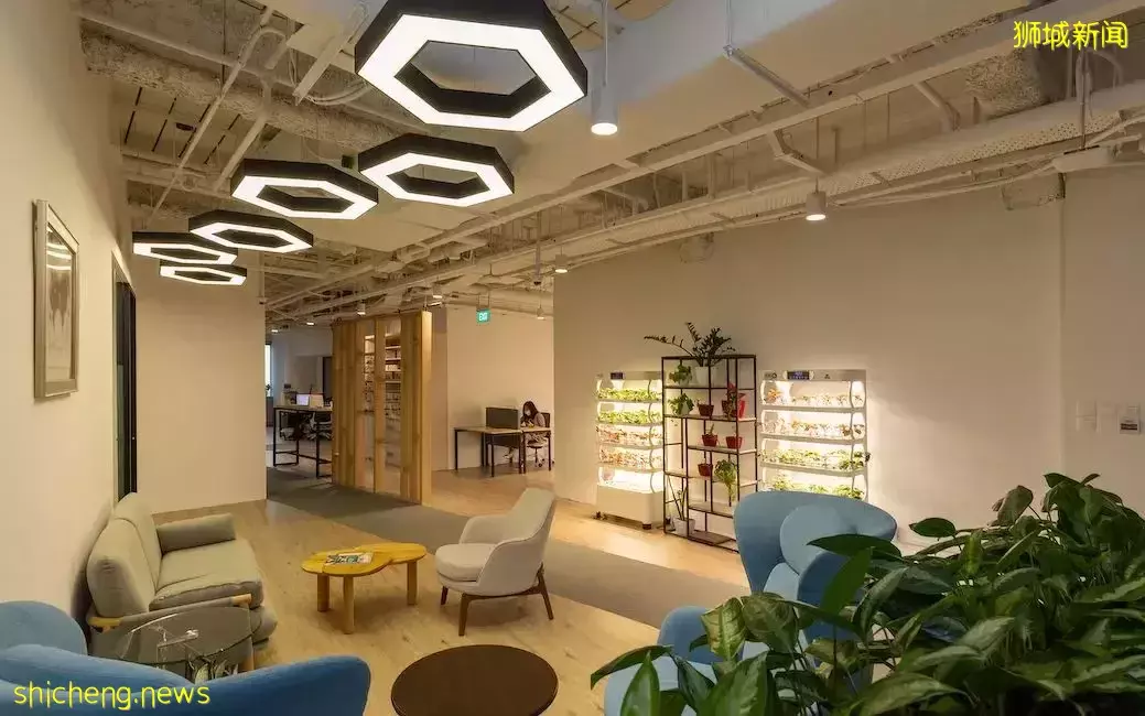 新加坡英文媒體也來采訪報道O2Work 了