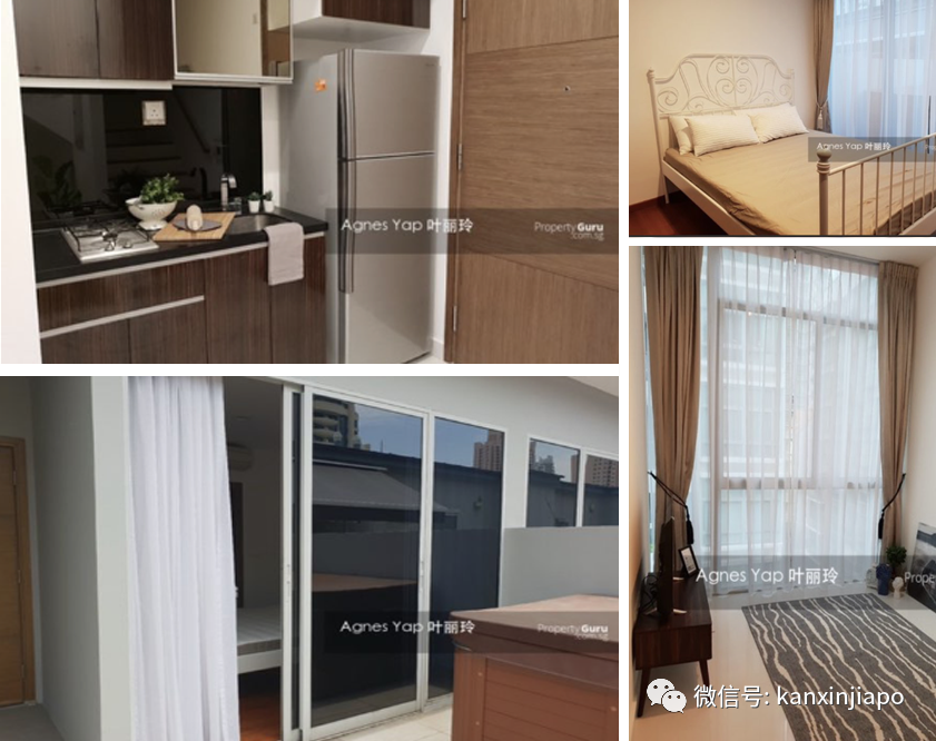 【汇总】出租求租信息:总有一个是你喜欢的!