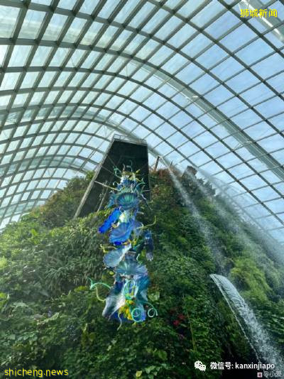 视觉冲击力超强，巨型玻璃雕塑“攻占”新加坡滨海湾