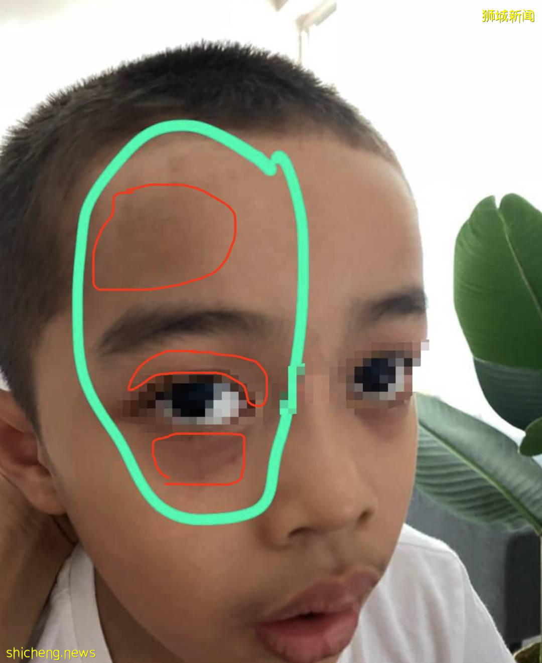 視頻曝光!這個新加坡籍女校長毆打虐童!“像拎小雞一樣”