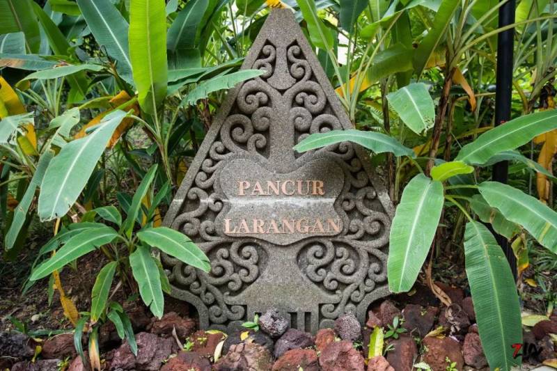 这座网红美照最多的小山,承载着新加坡那段血与火的历史