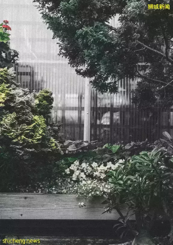 新加坡IKIGAI【D11核心区 享永久地契 奢华日式公寓】