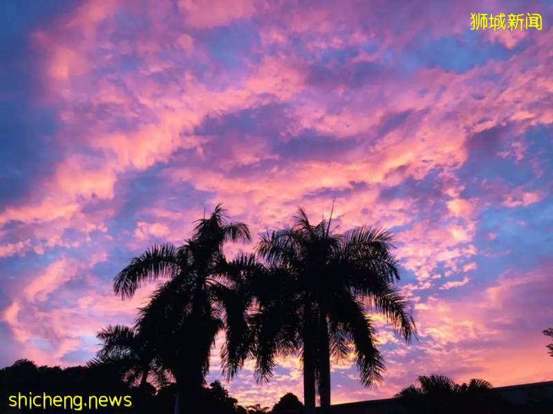 刷屏!新加坡昨天出现绝美彩虹,副总理也忍不住转发!